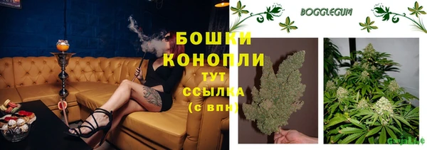 хмурый Касимов