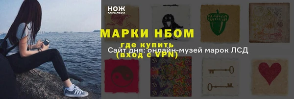 хмурый Касимов