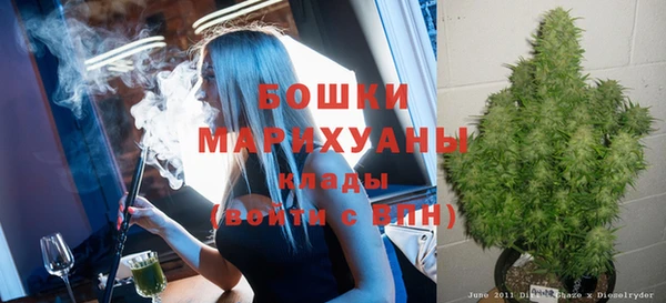 хмурый Касимов