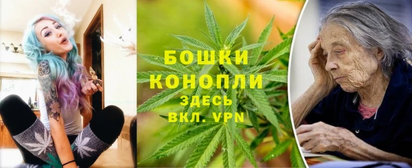 хмурый Касимов