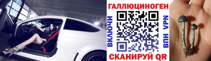Купить где  Луза  Галлюциногенные грибы Cubensis 